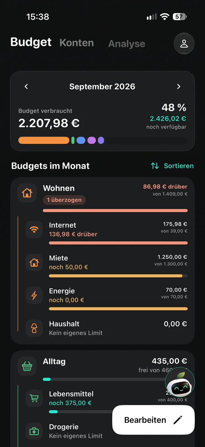 Budgetansicht mit Verbrauch und verbleibendem Betrag je Kategorie