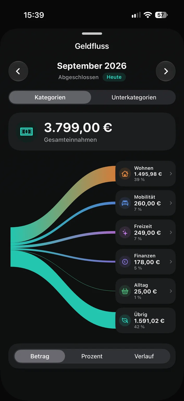 Geldfluss-Analyse: wohin die Einnahmen eines Monats fließen