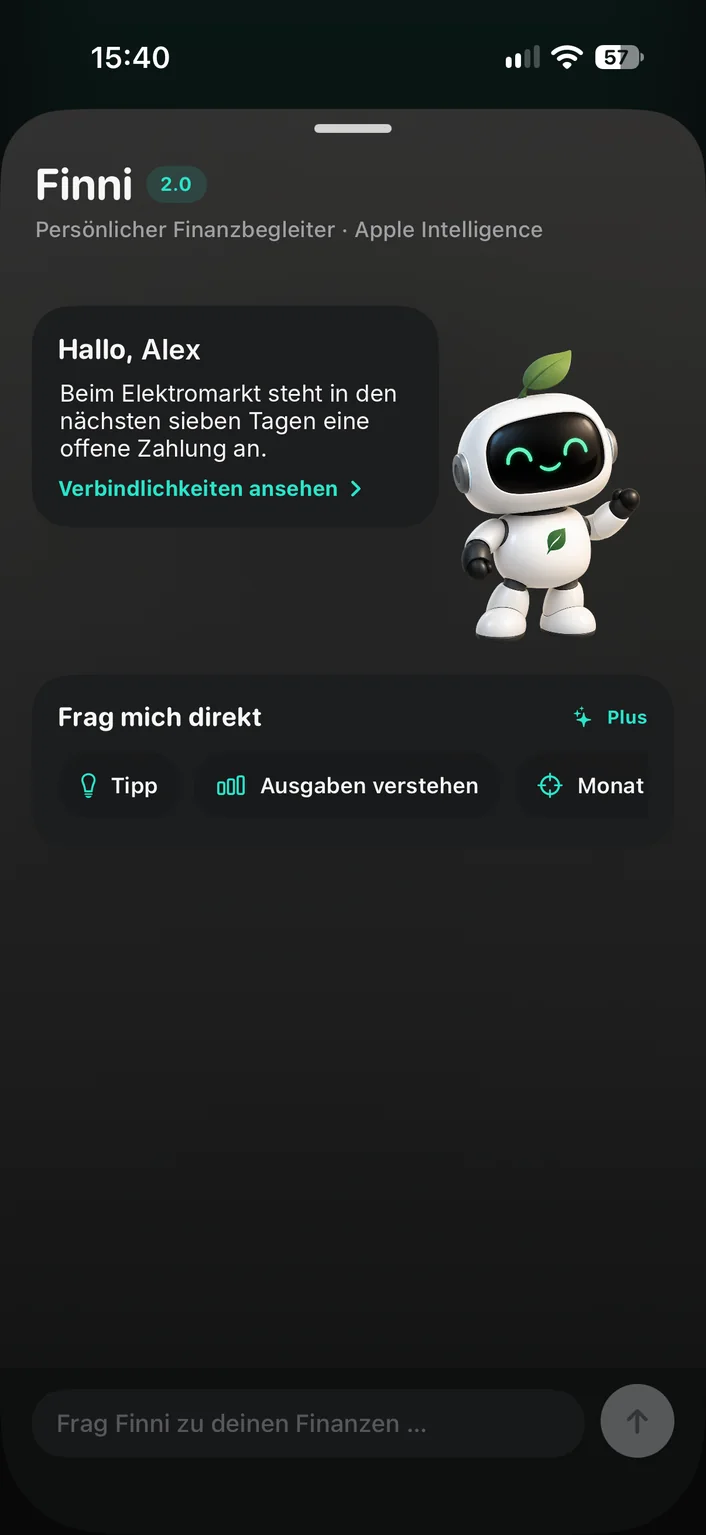 Finni weist auf eine anstehende Zahlung hin und schlägt direkte Fragen vor